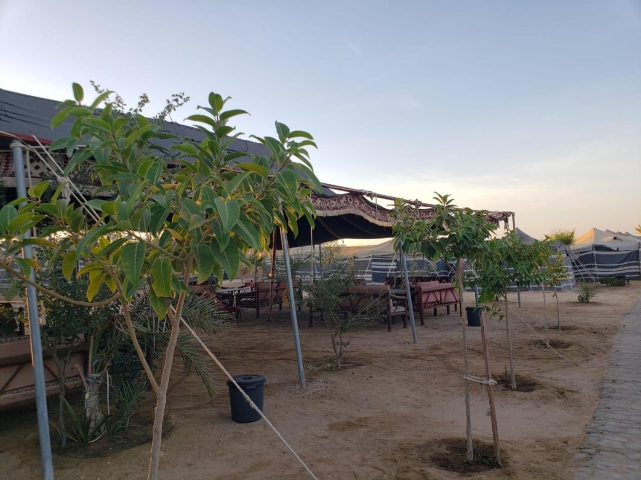 Hotel Royal Tours Permanent Camp Umm Lajj Zewnętrze zdjęcie